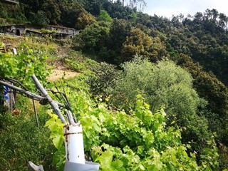 Casa di corte in Vendita a Vernazza, 60'000€, 30 m²