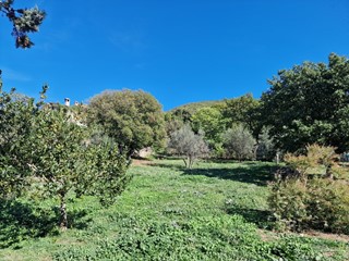 Terreno industriale in Vendita a Lugnano in Teverina, 48'000€, 990 m²