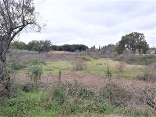 Terreno agricolo in Vendita a Tivoli, 30'000€, 7500 m²