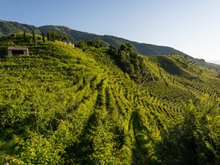 Terreno edificabile in Vendita a Castelnuovo Magra, 105'000€, 200 m², con Box