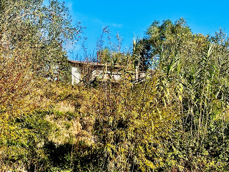 Terreno agricolo in Vendita a Arcola, 50'000€, 2000 m²