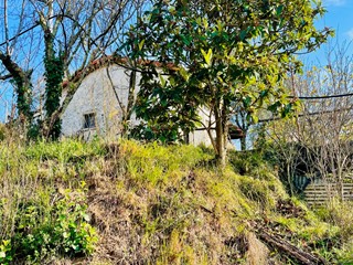 Terreno agricolo in Vendita a Arcola, 50'000€, 2000 m²