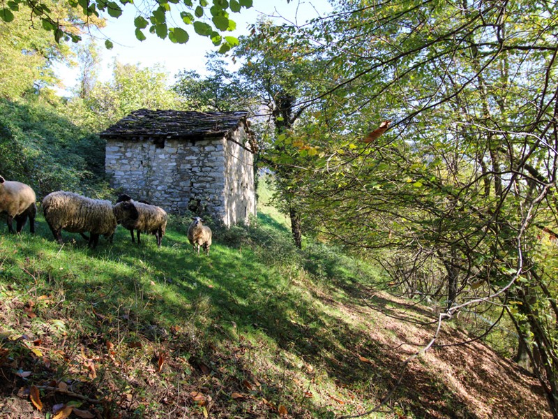 Casale in Vendita a Cerano d'Intelvi, 49'000€, 60 m²