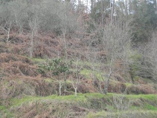 Quadrilocale in Vendita a La Spezia, zona Valdurasca, 100'000€, 75 m²