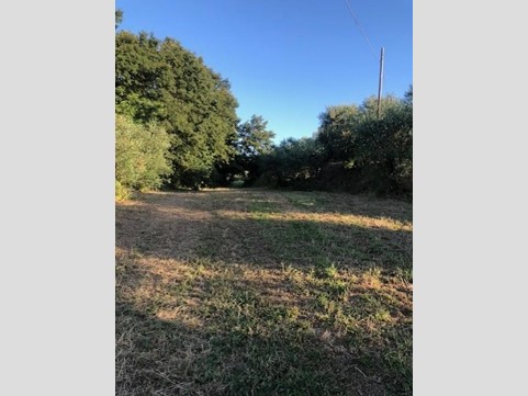 Casale in Vendita a Fucecchio, zona Massarella, 140'000€, 180 m²