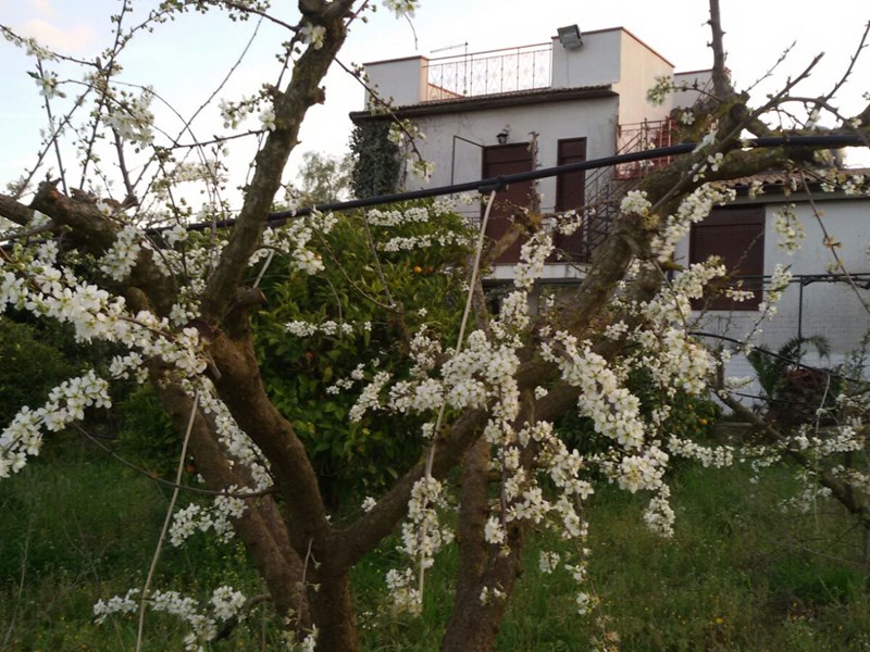 Villa in Vendita a Caltanissetta, zona contrada Ramilia, 89'000€, 200 m²