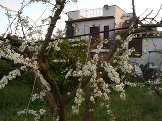 Villa in Vendita a Caltanissetta, zona contrada Ramilia, 89'000€, 200 m²