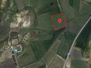 Terreno agricolo in Vendita a Delia, zona contrada Cappellano, 19'000€, 13.880 mq