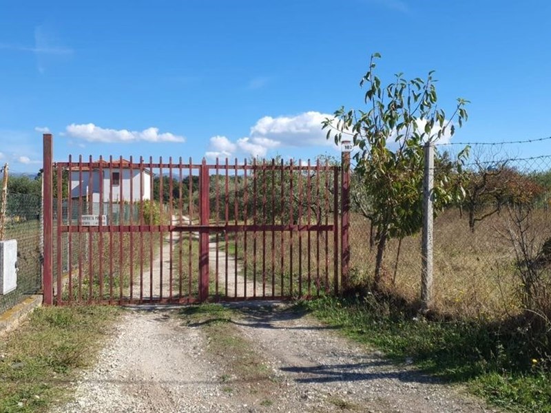 Terreno agricolo in Vendita a San Cesareo, zona San cesareo - Via Carzolese , 30'000€, 2000 m²