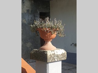 Casa Semi Indipendente in Vendita a Prato, zona Migliana, 88'000€, 100 m²