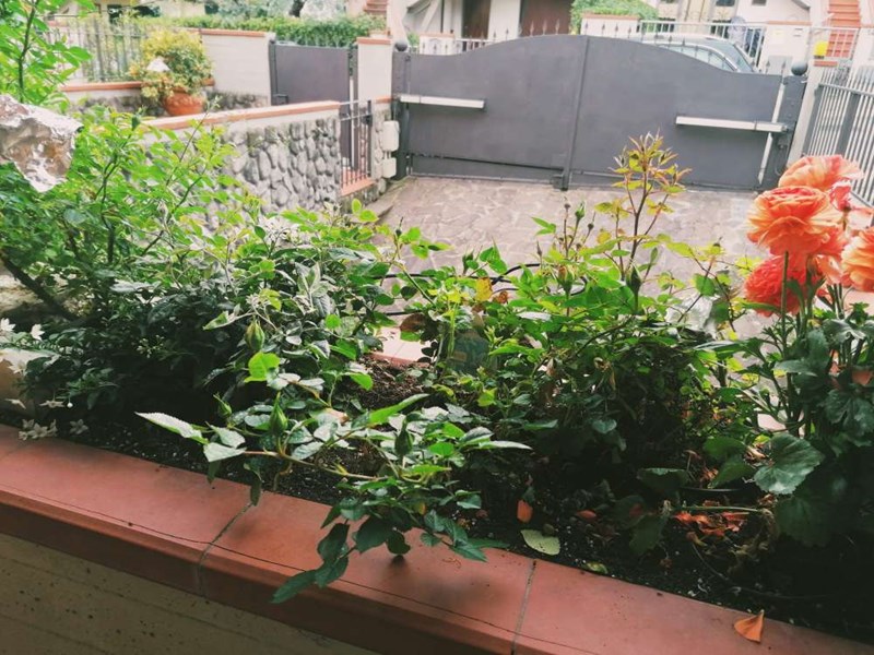 Casa Indipendente in Vendita a Prato, zona Vaiano , 359'000€, 253 m²