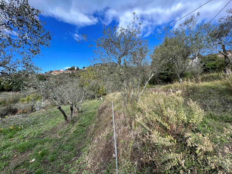 Casa Indipendente in Vendita a Fosdinovo, zona Caniparola, 450'000€, 153 m², con Box