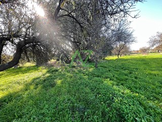 Terreno agricolo in Vendita a Motta Sant'Anastasia, 28'000€, 2400 m²
