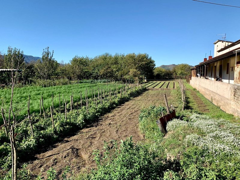 Terreno agricolo in Vendita a Castel San Giorgio, 18'000€, 1000 m²