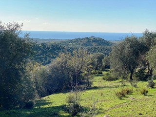 Terreno agricolo in Vendita a Piombino, zona Riotorto, 45'000&euro;, 12840 m²