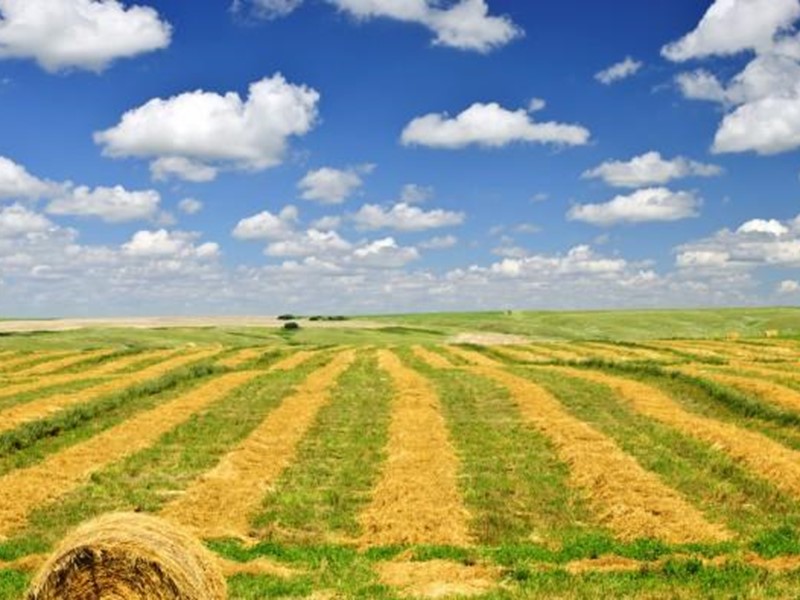 Terreno agricolo in Vendita a Casciana Terme Lari, zona Lavaiano, 140'000€, 70000 m²