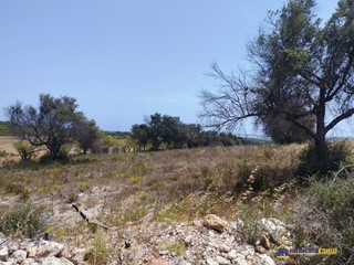 Terreno edificabile in Vendita a Pachino, 40'000€, 17756 m²