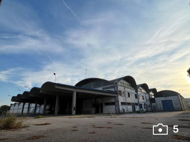 Magazzino in Affitto a Portomaggiore, 10'000€, 17000 m², arredato