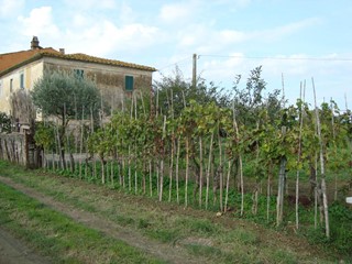 Casale in Vendita a Larciano, 130'000€, 240 m²