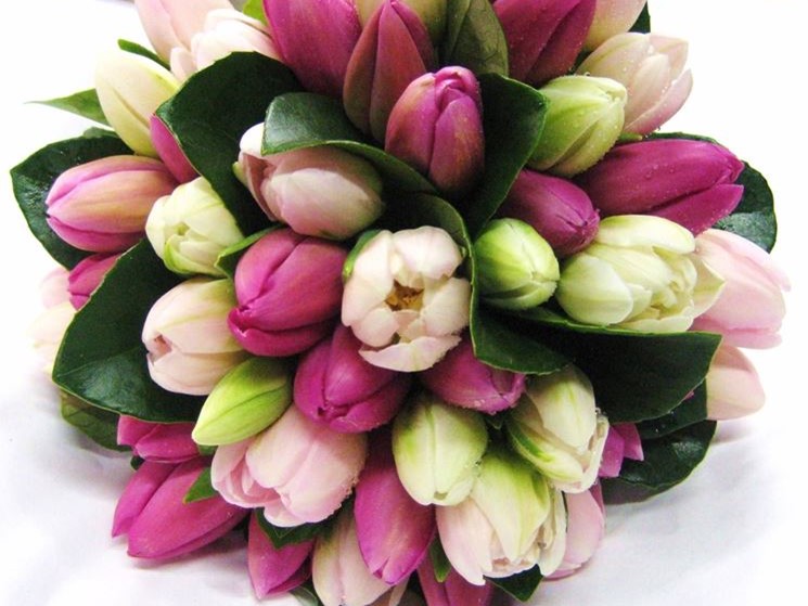 Attività commerciale in Vendita a Bettona, zona BETTONA, 23'000€, 1 m²