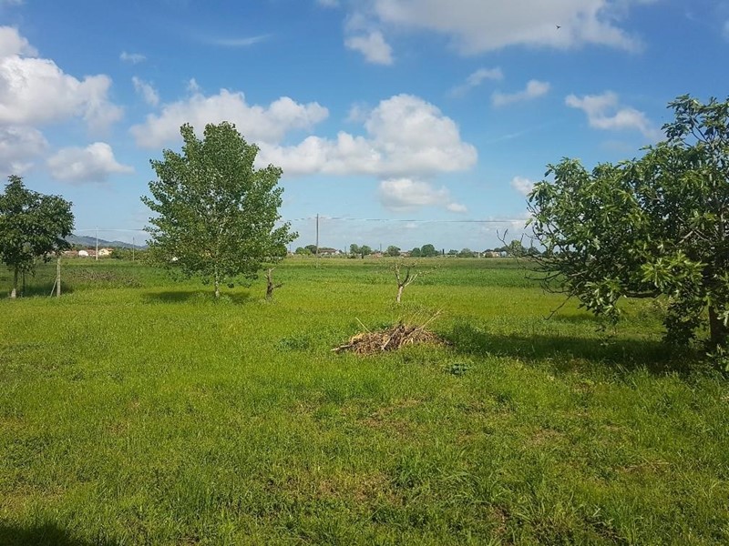 Terreno agricolo in Vendita a San Giuliano Terme, 20'000€, 5440 m²